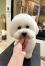 ���α㤯��Υӥ���󥫥åȢ�