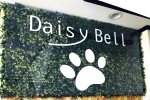 DaisyBell