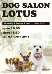 DogSalon LOTUS