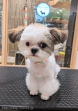 åꤪ֥쥹