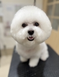 �դ���ӥ���󥫥å�