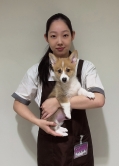 Masumoto