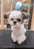åꤪ֥쥹