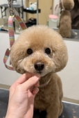 �ޤ�ޤ�ޥå��奫�å�