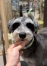 �ޤ��ӻĤ�����ʥ��å�
