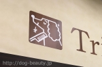 ͭ²ҥ٥ɥå