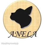 ANELAɥå