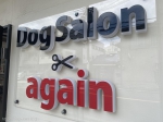 DogSalonagain