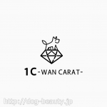 1C-WAN CARAT-Ź