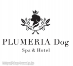 PLUMERIA Dog