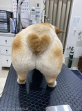 ϡȤå	