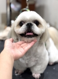 ���ޥ��륫�å�