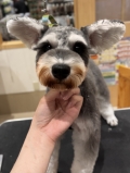 ���ä��ꥷ��ʥ��å�