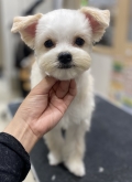 ����ޥ����󥫥å�