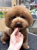 ѥȥե		