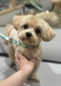 �פ�����󥫥å�
