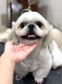 ���ޥ��륫�å�