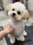 ���ݤ����å�