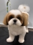 �ޤ�ޤ륷���������å�