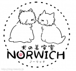 ƼNORWICH