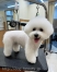 ���ץ�ӥ���󥫥åȡ�
