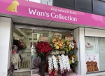 Wan's Collection