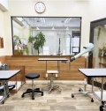 trimming salon DogBell