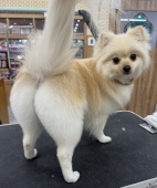 �������å�