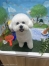 �ӥ����ե꡼���μ������ޤ�ݥ��å�	