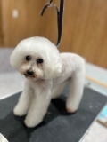 �ޥå���롼�५�å�