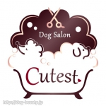 DogSalon Cutest