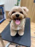 �Х��󤯤�Υ��åȥ�������