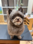 �ݥ�ס��Τ�դ�ե�������
