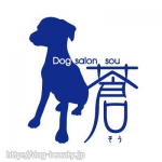 Dog salon sou 