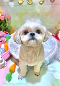 祳饫å	