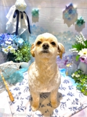 10mmХꥫå	