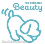 PET PARADISE + BEAUTY  FUN ޥԥŹ