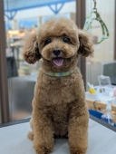 �������ƥǥ��٥�