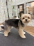 MIX��������ޤ�ݥ��å�