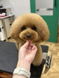 դޥå롼५å	