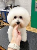 ޤޤ륢եå	