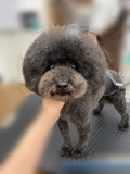 �ޤ�ޤ뤪�饫�å�