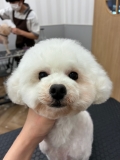 �ѥ��ƥ�ϡ��ȥϥ��å�