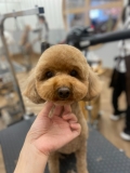 �ޤ�ޤ뤪�饫�å�