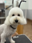 �ޤ�ޤ뤪�饫�å�
