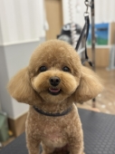 �ס������Τޤ�ޤ�ƥǥ��٥�