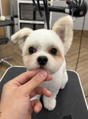 �ϥåԡ������Τޤ�ޤ륫�å�
