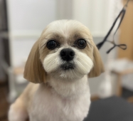 ����뤭���ޤ��ӥ��å�