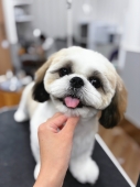 �ޤ�ޤ륫�å�