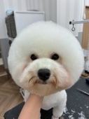 �ޤ�ޤ뤪�饫�å�
